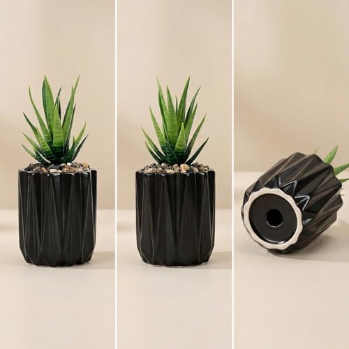 Succulent Plant Pots Ceramic Plant Pots and Drainage Hole Bonsai Planter Small Flower Pots for Indoor Outdoor Use for Home Office Garden Decoration,Plants Not Included (Black) - Image 5