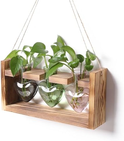 Plant Terrarium Propagation Stations Hydroponics by MTsigns