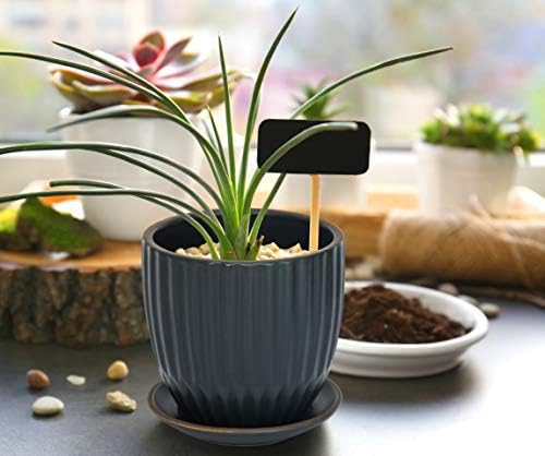 D'vine Dev 2-Pack Stoneware Planter Pots, 4.5/5.8 in, Charcoal Grey, 99-D-3 - Image 6