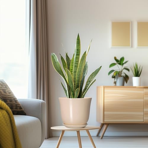 8 Inch Plant Pot, Ceramic Pots for Plants Indoor, Beige - Image 5