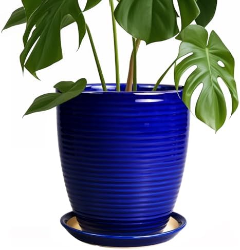 Round Ceramic Planter - Modern 8 Inch Plant Pot with Drainage Hole and Tray for Flower Indoor Outdoor Garden Decor Blue by EPFamily