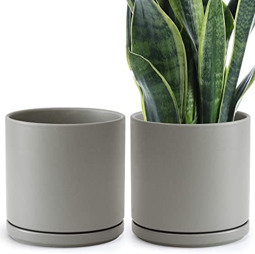 D'vine Dev 2-Pack Ceramic Pots with Saucers, Grey, 10 in, 94-V-E-3 by DvineDevPlanterPotsandStand