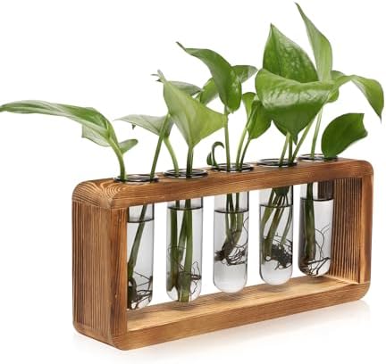 Glass Plant Propagation Station with 5 Test Tubes Colorful Planter Vase by YYHglass