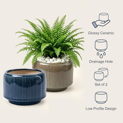 6 Inch Ceramic Plant Pots Set of 2 with Drainage Hole for Indoor Plants - Image 5