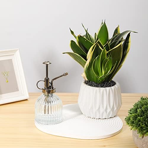 Glass Plant Mister Water Spray Bottle, 200 ML Glass Plant Spritzer Mister Bottle, Vintage Style Glass Succulent Watering Bottle with Top Pump, Plant Sprayer Mister for Indoor Plants - Clear - Image 3