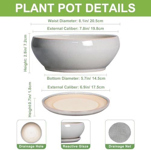 SQOWL Bonsai Tree Pots, 8 Inch Ceramic Plant Pots with Saucer, Gray - Image 2