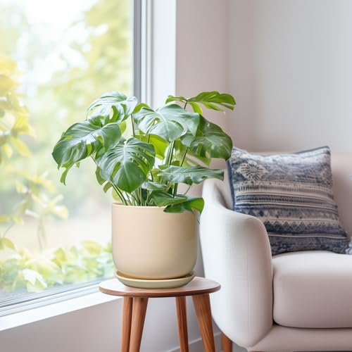 Ceramic Planter - Round Modern 8 Inch Plant Pot with Drainage Hole and Saucer for Flowers Herb, Home House Office Room Apartment Decor, Yellow - Image 7