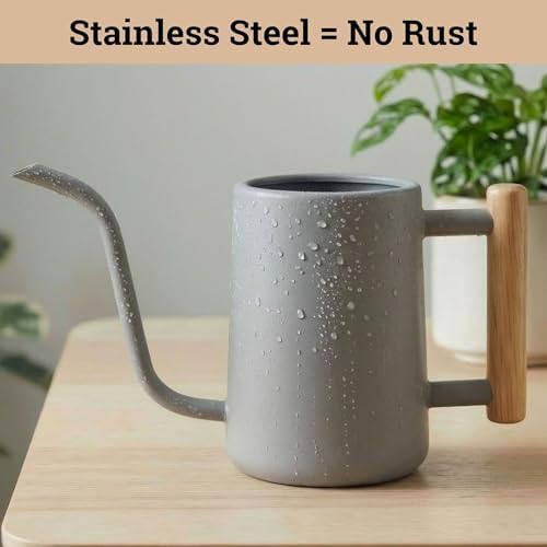 Metal Small Indoor Watering Can with Long Spout & Real Wood Handle, 35oz - Image 3