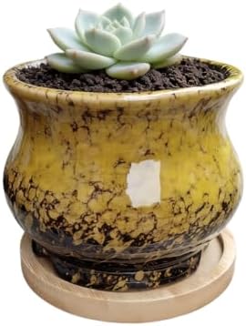 Cute 3.94 Inch Ceramic Home Garden Decoration Succulent Cactus Flower Pots Container -Plant Not Included，Yellow by SJBAG