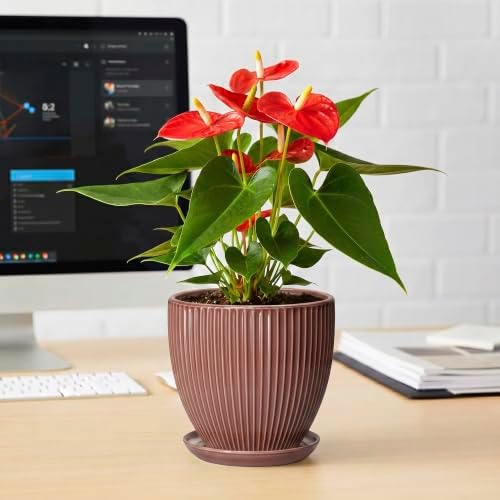 Ceramic Pots for Plants 6 Inch, Ceramic Plant Pots Indoor with Drainage Hole and Saucer, Modern Flower Pot, Round Decorative Planter, Living Room Home Decor, House Warming Gifts, Rust Red - Image 6
