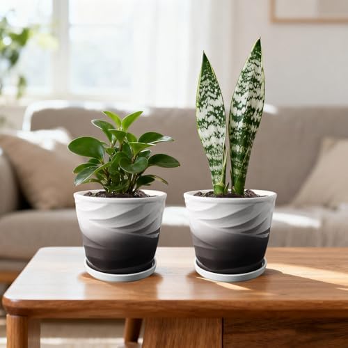 Ceramic Plant Pots, 6 Inch, Set of 2 - Image 3