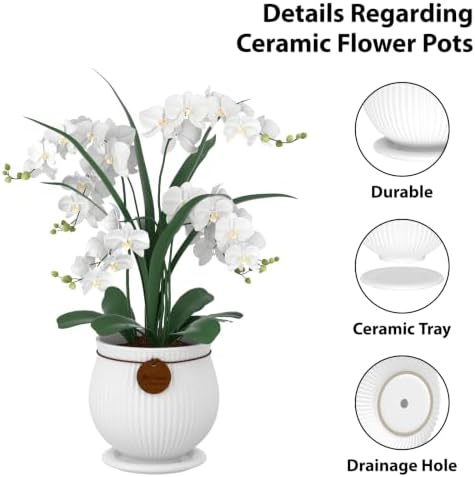 8.3 Inch White Ceramic Planter with Drainage Hole and Saucer - Image 3