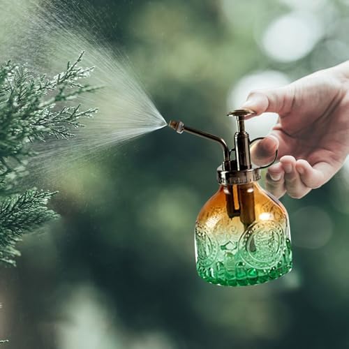 Spray Bottle for Plants, Plant Mister Spray Bottle, Glass Plant Mister Spray Bottle, Embossed Vintage Glass Watering Can, Succulent Watering Bottle with Top Pump for Outdoor (Q) - Image 4