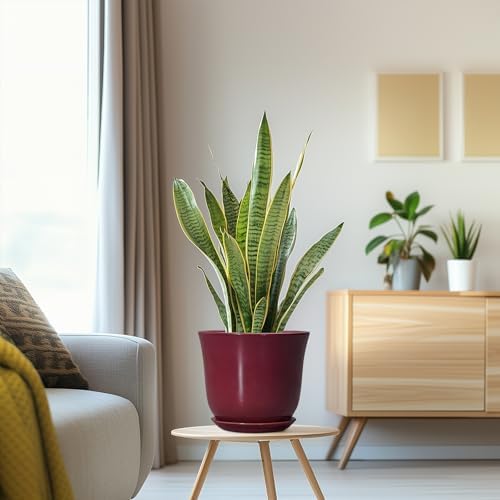 Ceramic Planter, 8 Inch Plant Pot with Drainage Hole, Red - Image 5