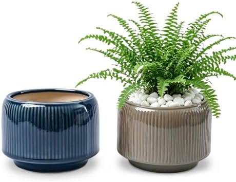 6 Inch Ceramic Plant Pots Set of 2 with Drainage Hole for Indoor Plants by Sinwings