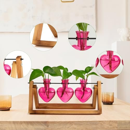 XXXFLOWER Plant Terrarium Propagation Stations 3 Heart Shaped Vases - Image 3