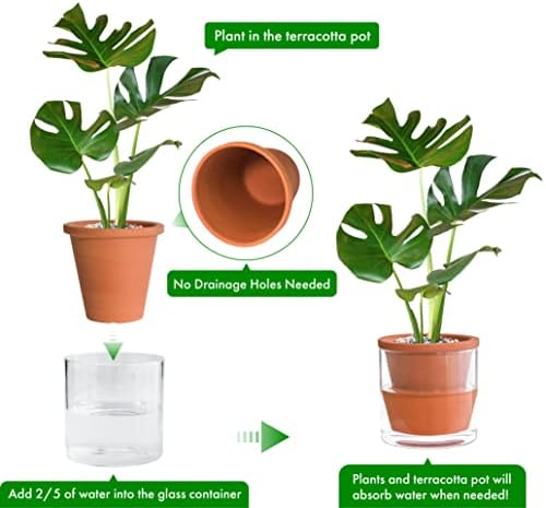 D'vine Dev Self Watering Terracotta Planter Pot, 6 in, 2-Pack, 37-Y-B-1 - Image 4