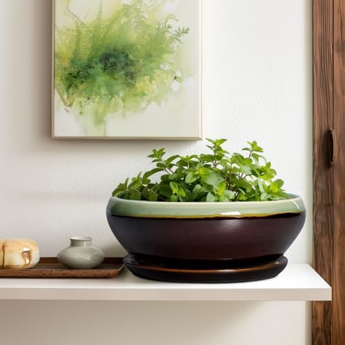 SQOWL Bonsai Pots 12 Inch - Large Ceramic Pots for Succulents with Drainage Hole and Saucer, Shallow Planter for Indoor Plants Outdoor, Round Planter Bowl, Office Decor, Gifts for Women, Green-Brown - Image 5