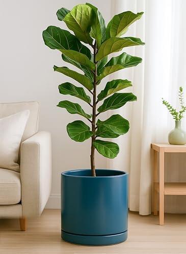 D'vine Dev 12 Inch Ceramic Planter Pot, Teal, 94-O-F-9 - Image 5