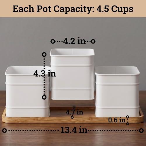 Herb Planter Indoor, 3-pc Herb Pots w/ Drainage Holes, Bamboo Tray & Labels - Image 5