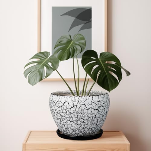Ceramicfor Ceramic Planters for Indoor Plants - 10 Inch Plant Pot with Drainage Hole and Saucer, Large Flower Pot for Home Decor, White/Black - Image 4