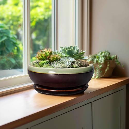 SQOWL Succulent Planters 10 Inch, Ceramic Bonsai Pots, Green-Brown - Image 6