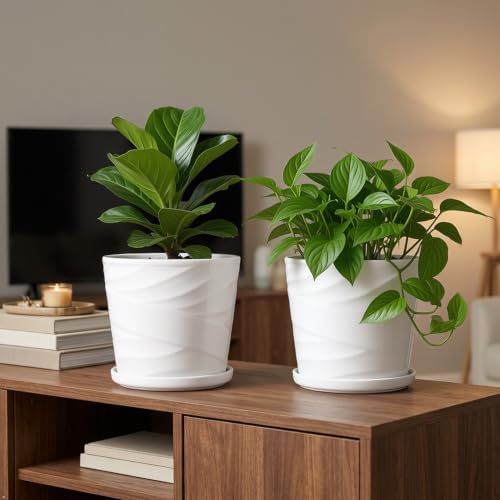 6 Inch Plant Pot,Ceramic Planter with Drainage and Saucer(6.7 In Diameter) - Image 6