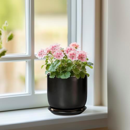 Ceramic Pot for Plants 5 Inch - Modern Round Indoor Planter for Cactus Succulent Plants with Drainage Hole and Saucer, Home Room House Office Decor, Black - Image 2