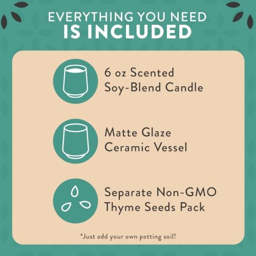 Modern Sprout Soy Candle Planter - Grows Thyme - Tonka Bean Scent - 6 oz - Image 3