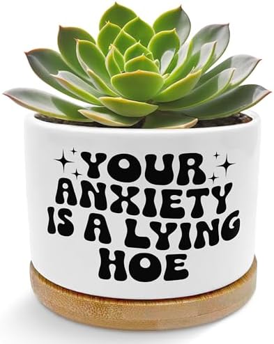 Funny Mental Health Planter Pots, Anti Anxiety Gifts for Women, Your Anxiety is Lying Inspirational Ceramic Succulent Plant Flower Planters for Home Office Desk Table Shelf(No Plants) by Unknown