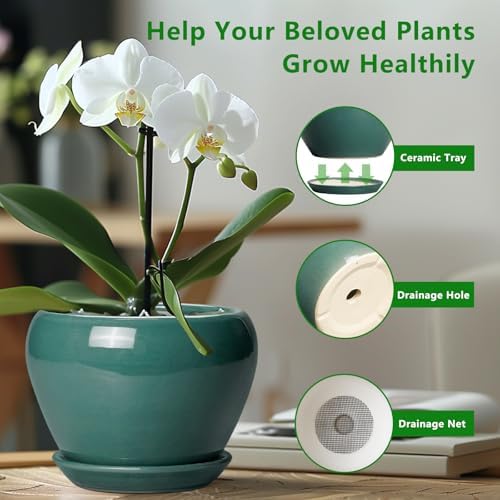 Ceramicfor 8 Inch Plant Pot - Ceramic Planter for Indoor Plants, Green - Image 6