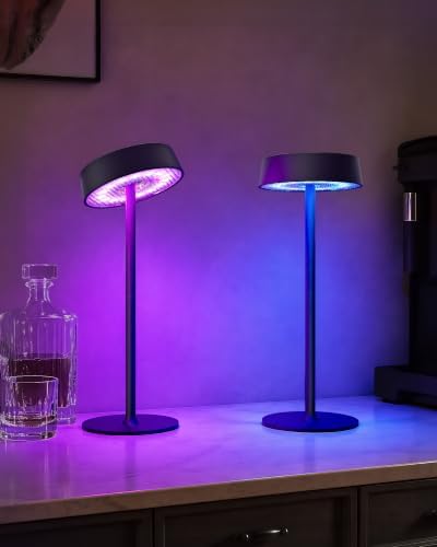 EZVALO Rechargeable Table Lamp, Cordless Ambient Lighting, Battery Operated by EZVALO