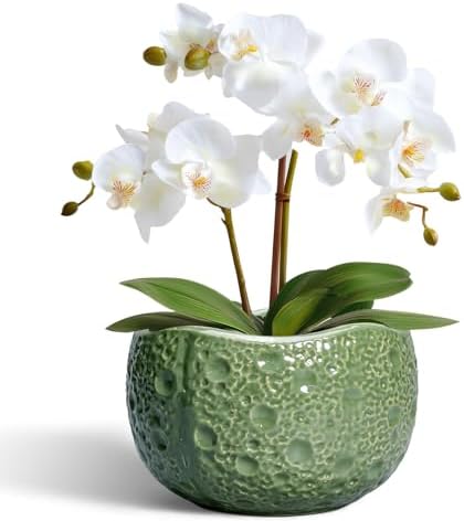 6 Inch Plant Pot - Orchid Pot with Drainage Hole, Ceramic Planter for Indoor Outdoor, Decorative Plant Pots, Modern Round Unique Flower Pots, Living Room Decor, Gifts for Women Men, Green by Thirtypot