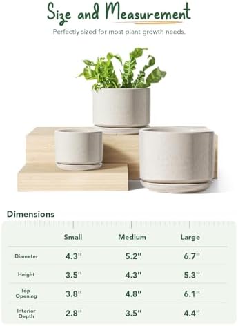 LE TAUCI Ceramic Plant Pots, 4.3+5.3+6.8 inch, Set of 3, Planters with Drainage Hole and Saucer, Indoor Flower Pot with Hole Mesh Pad, Gifts for Mom, Reactive Glaze Beige - Image 5