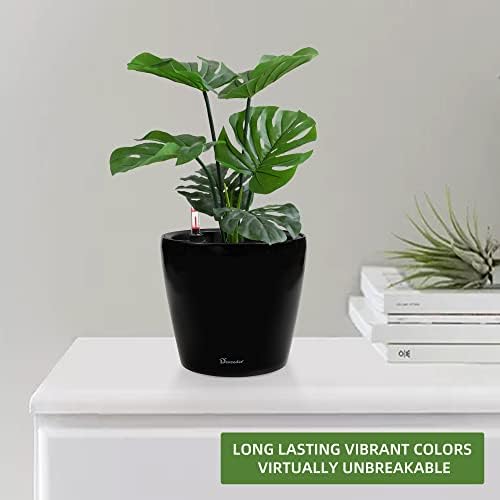 Dexceder 11x10 Self Watering Planter (Black High Gloss) - Image 6