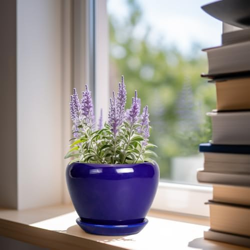 Ceramicfor 6 Inch Plant Pot - Ceramic Pots for Plants Succulent Pot with Drainage Hole and Saucer Round Planter Outdoor Flower Pot for Herb Snake Plants Blue - Image 2