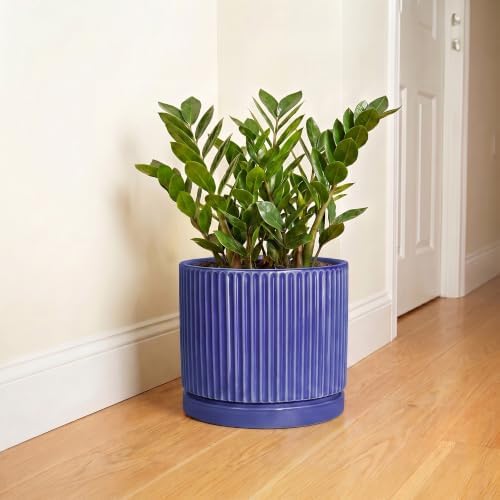 Ceramic Plant Pots 10 Inch, Round Pots for Plants with Tray, Blue - Image 6