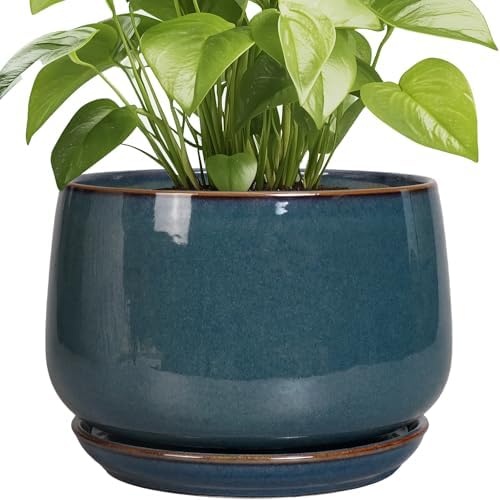 G EPGardening Ceramic Plant Pots - 9 Inch Round Modern Planter Indoor with Drainage and Tray for Indoor Outdoor Flower, Office Decor, Gardening Gifts, Retro Blue by GEPGardening