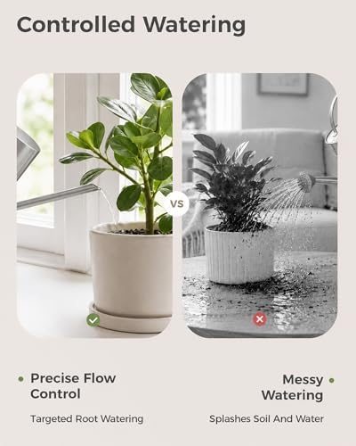 Bamworld Watering Can Indoor Plants 17oz 500ml Metal Silver - Image 7