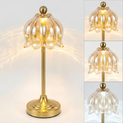 Cordless Touch Table Lamp with Glass Shade (Amber, 1 Pack) by Unknown