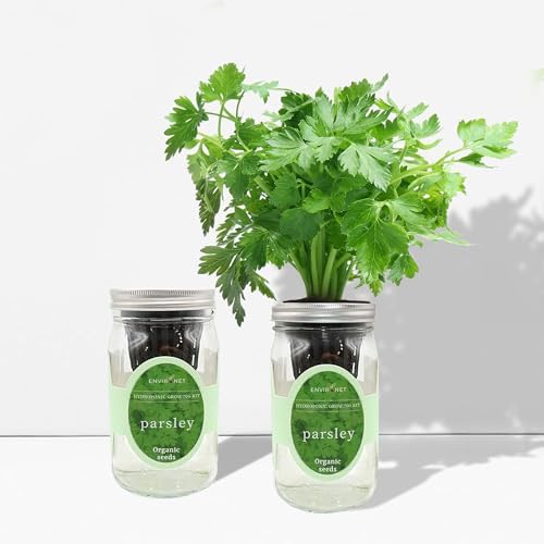 Hydroponic Herb Growing Kit, Self-Watering Mason Jar Herb Garden Starter Kit Indoor, Windowsill Herbs Garden, Grow Your Own Herbs from Organic Seeds (Parsley) - Image 4