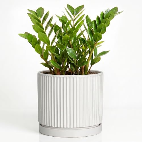 10 Inch Plant Pot, Ceramic Planters, Round Flower Pots, White by Unknown
