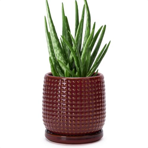 D'vine Dev Beaded Ceramic Pot with Saucer, 4 in, Burgundy Red, 27-C-Z-M by DvineDevPlanterPotsandStand