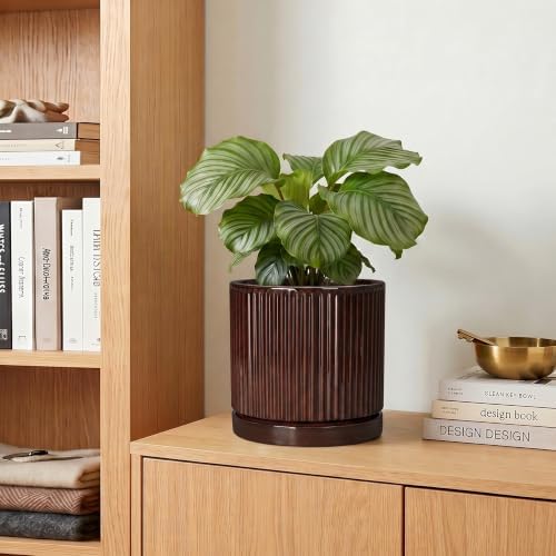 Ceramic Plant Pots, 6 Inch Pots for Plants, Round Planter, Brown - Image 7