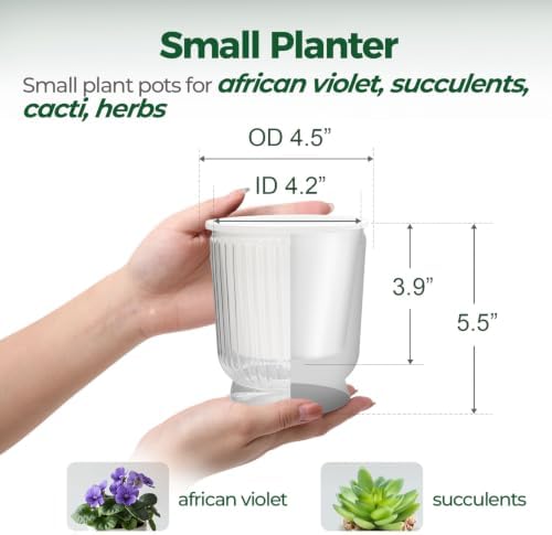 T4U Self Watering Pots for Indoor Plants 4.5 Inch 4 Pack Planter Clear - Image 2