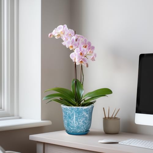 Ceramic Pots for Plants - 5.6 Inch Plant Pot with Drainage Hole and Saucer, Round Succulent Flower Orchid Pot for Indoor Outdoor, Modern Planter, Home Room Decor, Gift for Plant Lover, Blue - Image 3