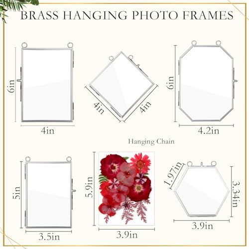 Bucherry 5 Pcs Glass Frame for DIY Pressed Flowers Art Hanging Photo Picture Frame with Chain and 6 Styles Pressed Flowers Collage Glass Craft Frames for Wall Decor Display Gallery (Silver) - Image 2