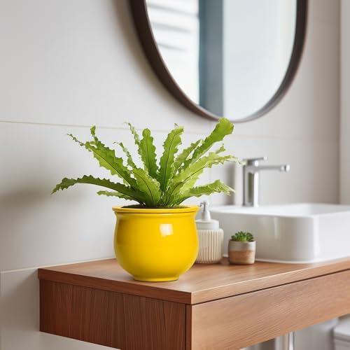 Ceramic Self Watering Planters, 6 Inch African Violet Pots for Indoor Outdoor Plants, Ceramic Plant Pot with Absorbent Inner Pot, Round Flower Pots, Living Room Decor, Gifts for Women, Yellow - Image 5