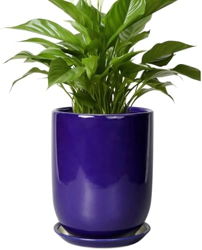 Ceramic Plant Pot - 8 Inch Planter for Indoor Plants Outdoor Flower Pot with Drainage Hole and Saucer Home Patio Office Decor Blue by SUNPOTFOR