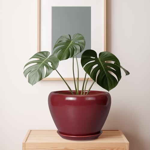 Ceramicfor 10 Inch Plant Pot, Ceramic Planter, Red - Image 7